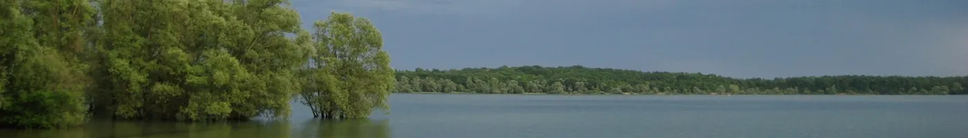 Paysage caractéristique : Aube