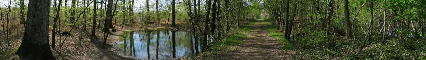 Paysage caractéristique : Indre