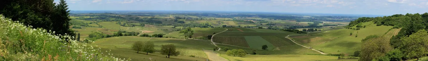 Paysage caractéristique : Jura