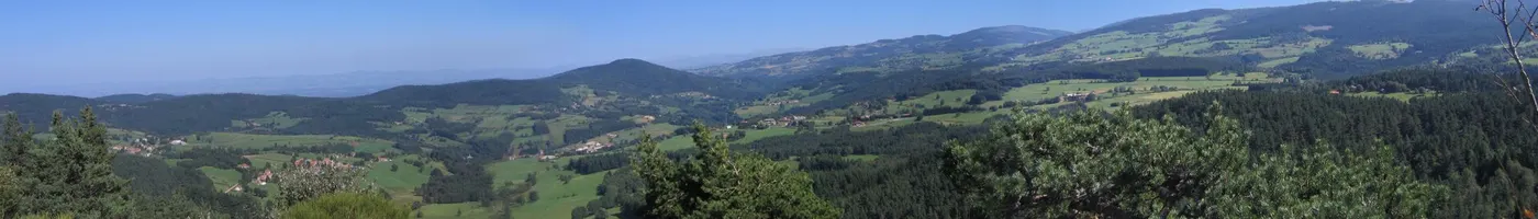 Paysage caractéristique : Loire