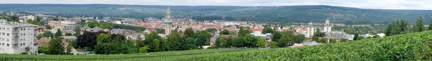 Paysage caractéristique : Marne