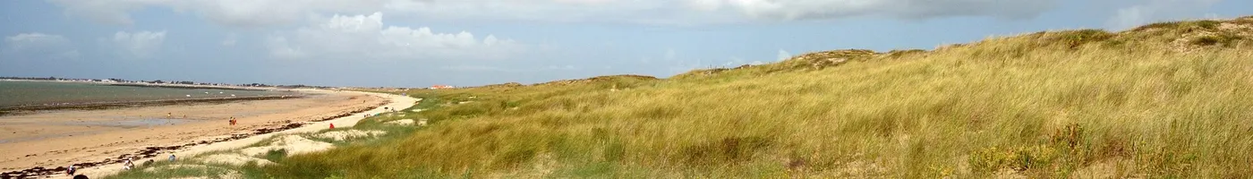 Paysage caractéristique : Vendée