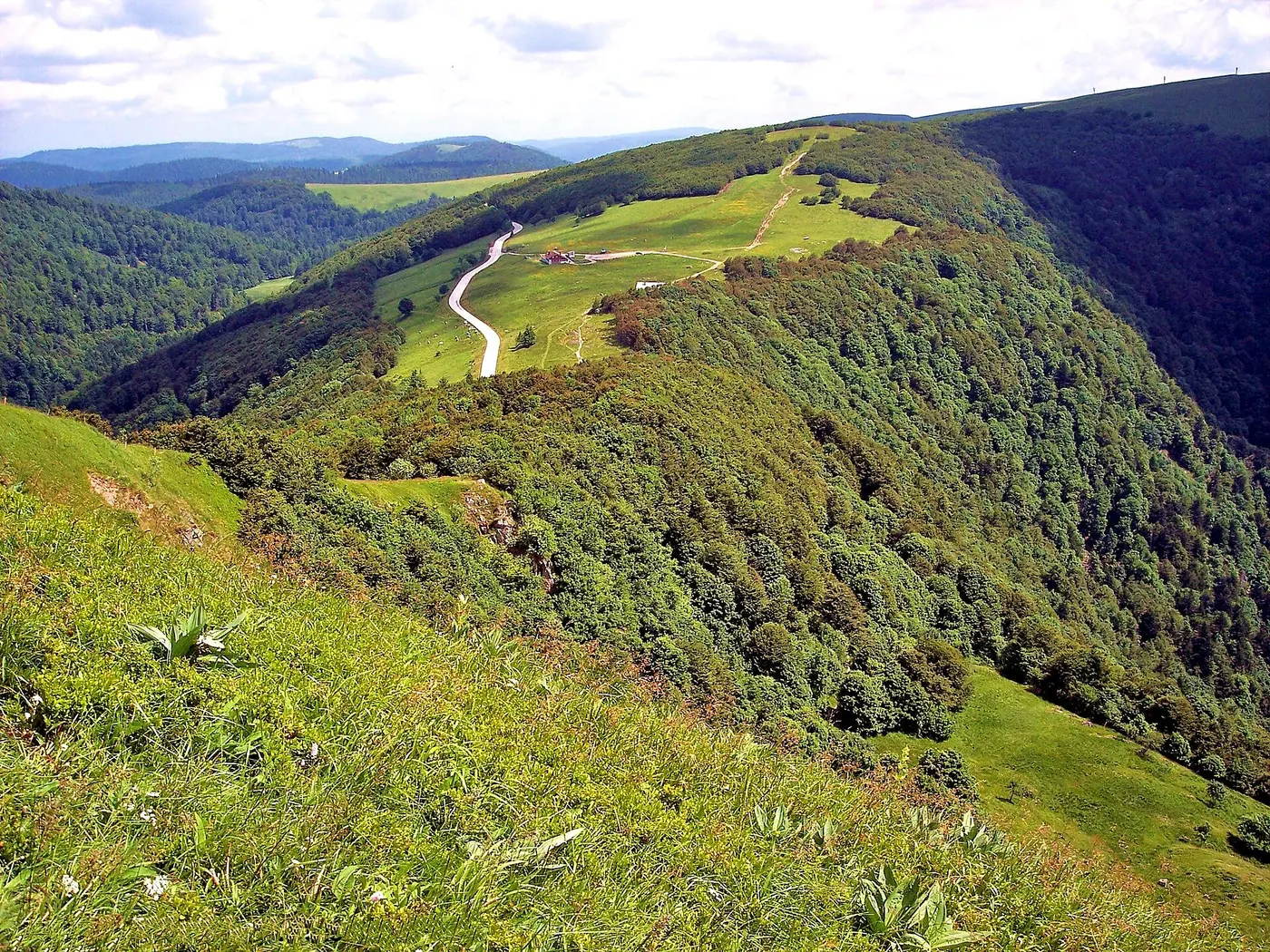 Paysage caractéristique : Vosges