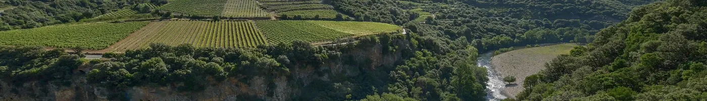 Paysage caractéristique : Occitanie